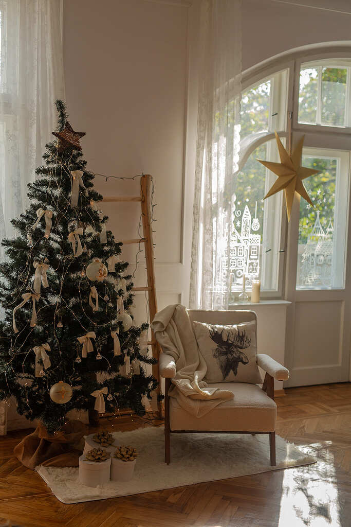 Studio fotograficzne Będzin | Mini-sesja świąteczna Będzin | Studio na wynajem Będzin